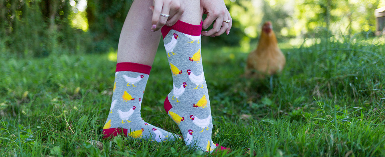 Cute chicken socks for animal lovers from Wheel House Designs, styled on a model walking on grass, showcasing the adorable chicken design.