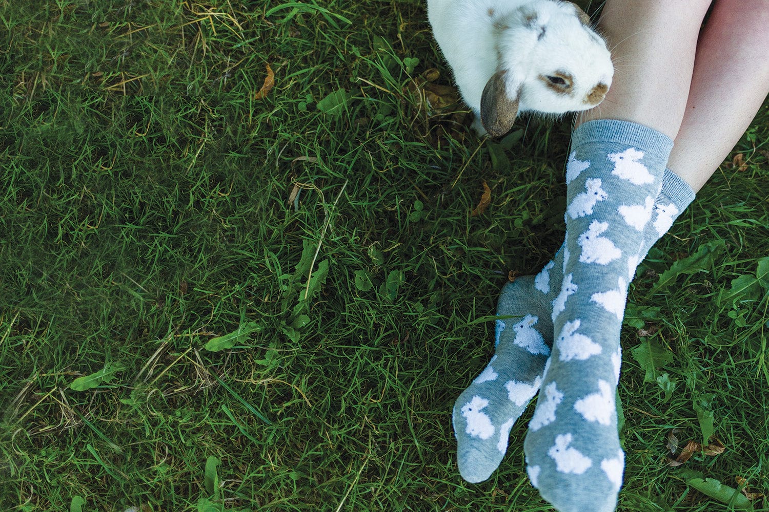 Bunny socks on feet