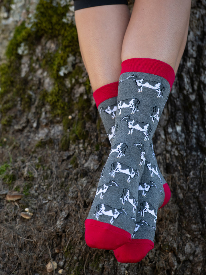 WHD Cows Socks | Gifts for Cow Lovers | 1-Pack/2-Pack