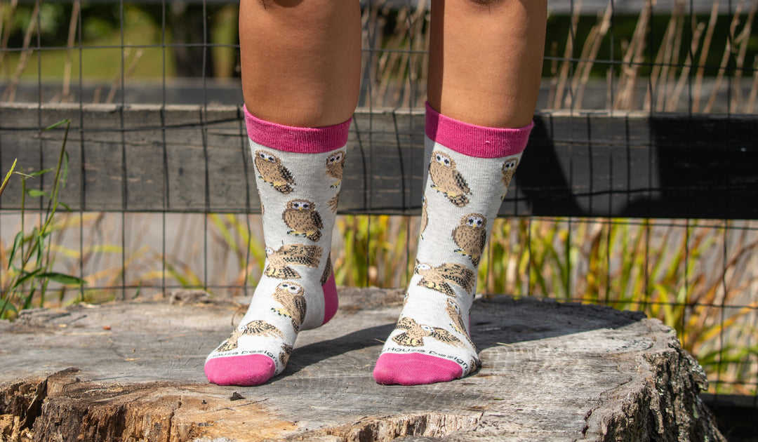 Owl Socks Perfect Bird Lovers Gift