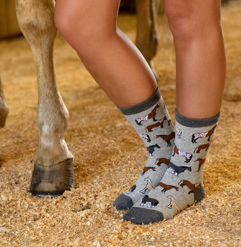 WHD Multi Horse Socks 2-Pack or 1-Pack