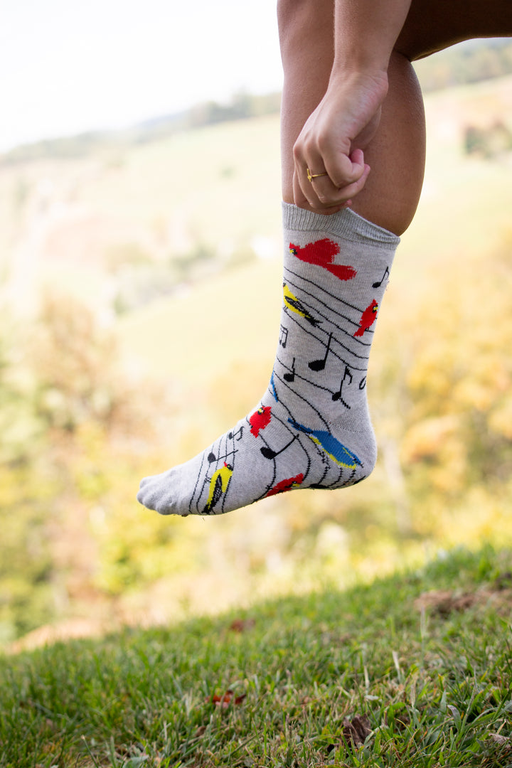 Bird Song Socks Perfect Bird Lovers Gift