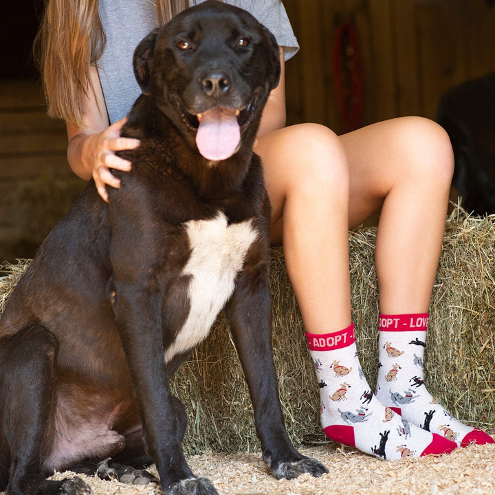 Wheel House Designs socks Adopt a Dog Socks Perfect Dog Lovers Gift