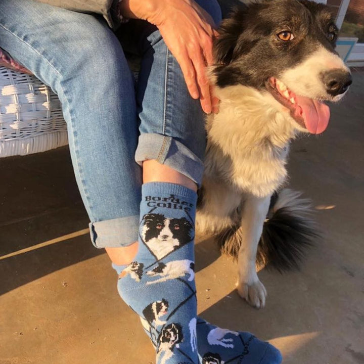 Wheel House Designs socks Blue / Medium Border Collie Socks for Women | Perfect Dog Lovers Gift