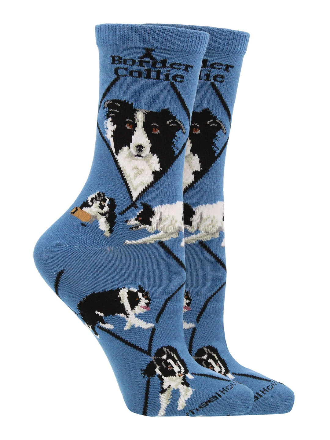 Wheel House Designs socks Blue / Medium Border Collie Socks for Women | Perfect Dog Lovers Gift