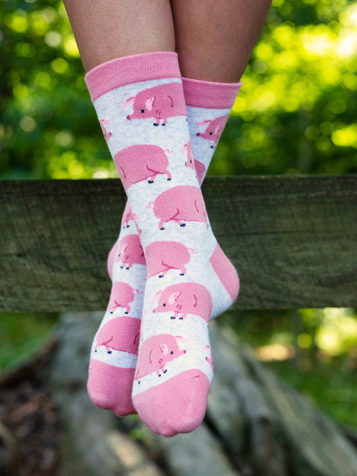 Wheel House Designs socks Cute Pig Socks for Women | Best Gifts for Pig Lovers