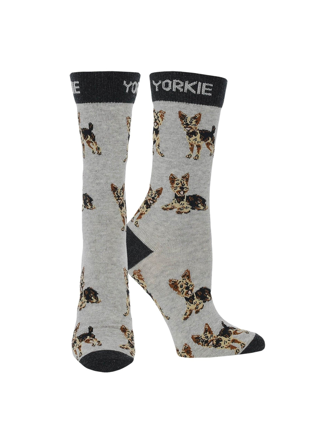 Wheel House Designs socks Gray/Black / Medium Yorkie Puppy Socks forWomen | Perfect Dog Lovers Gift