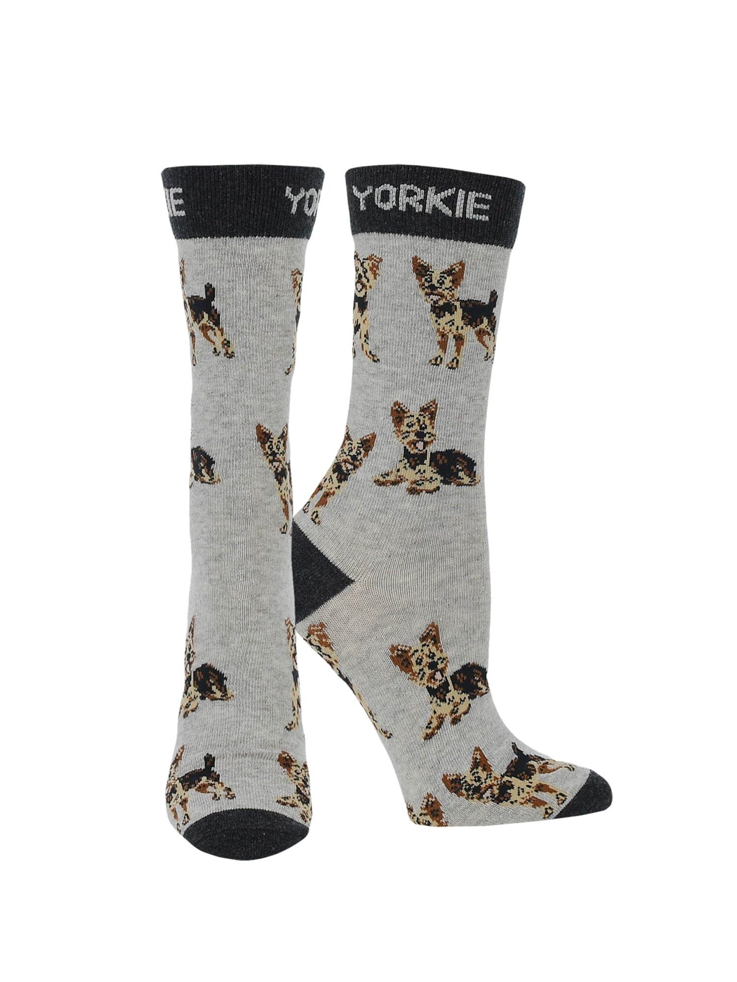 Wheel House Designs socks Gray/Black / Medium Yorkie Puppy Socks forWomen | Perfect Dog Lovers Gift