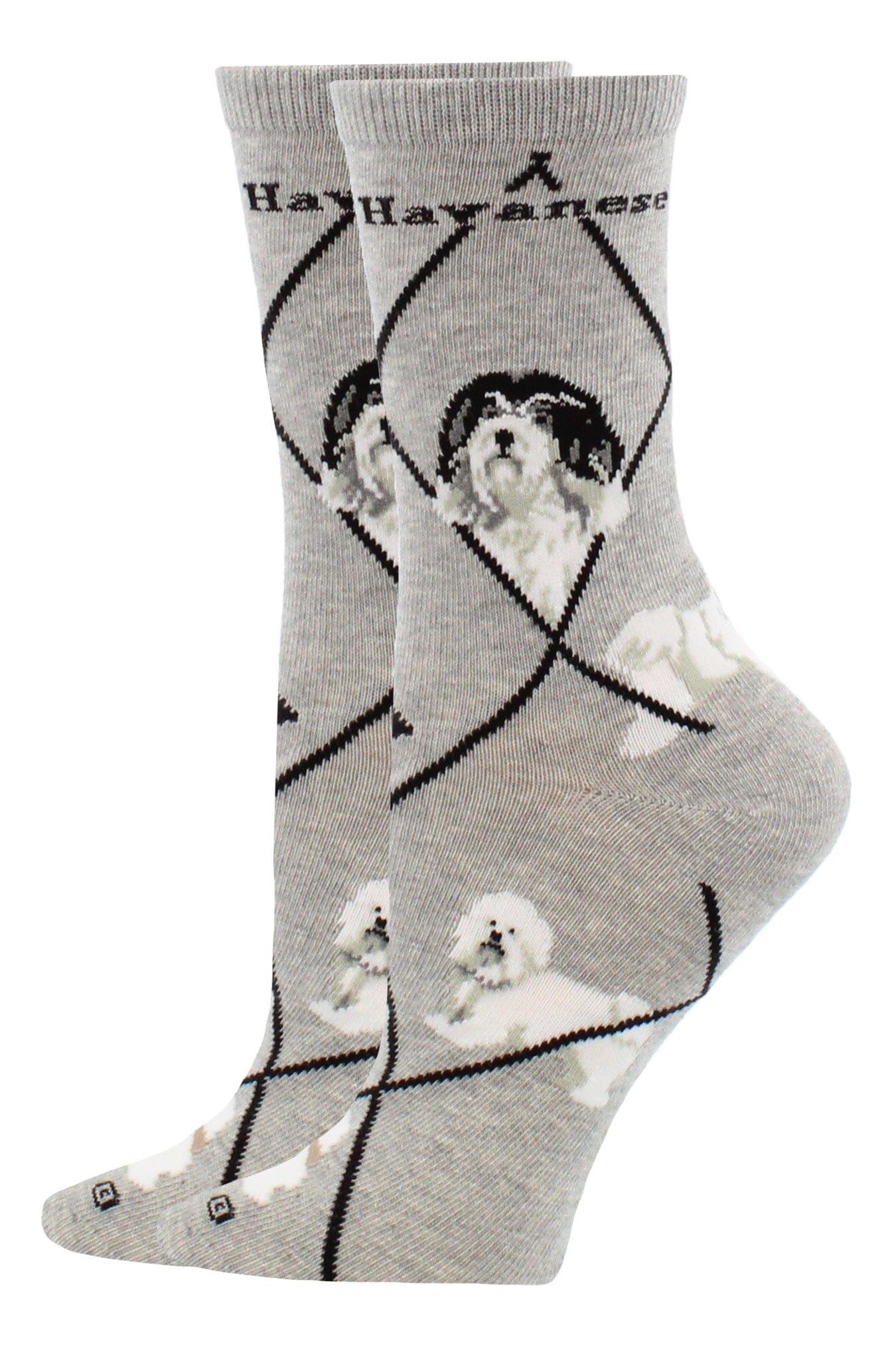 Wheel House Designs socks Gray / Medium Havanese Socks Perfect Dog Lovers Gift