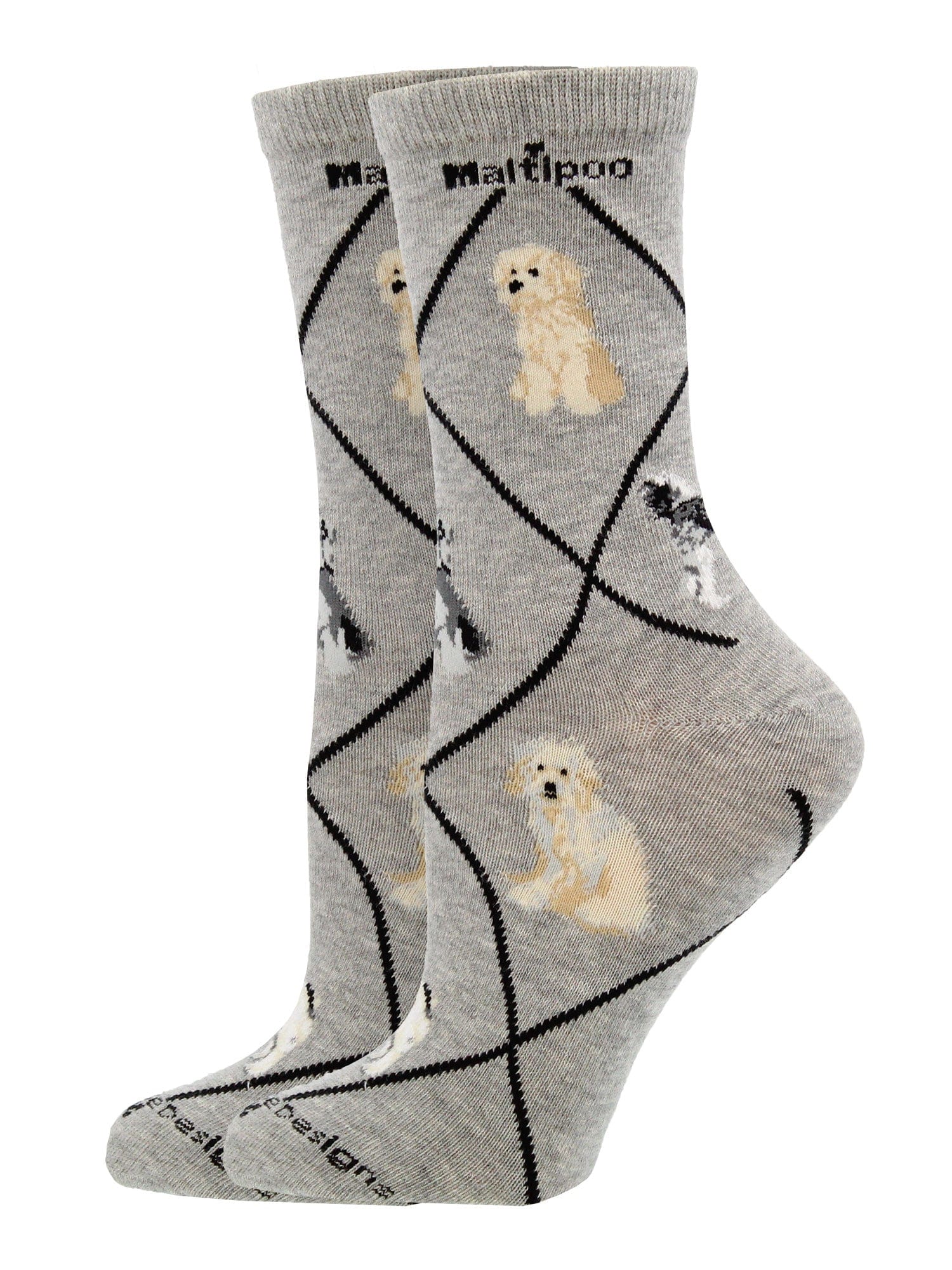 Wheel House Designs socks Gray / Medium Maltipoo Socks Perfect Dog Lovers Gift