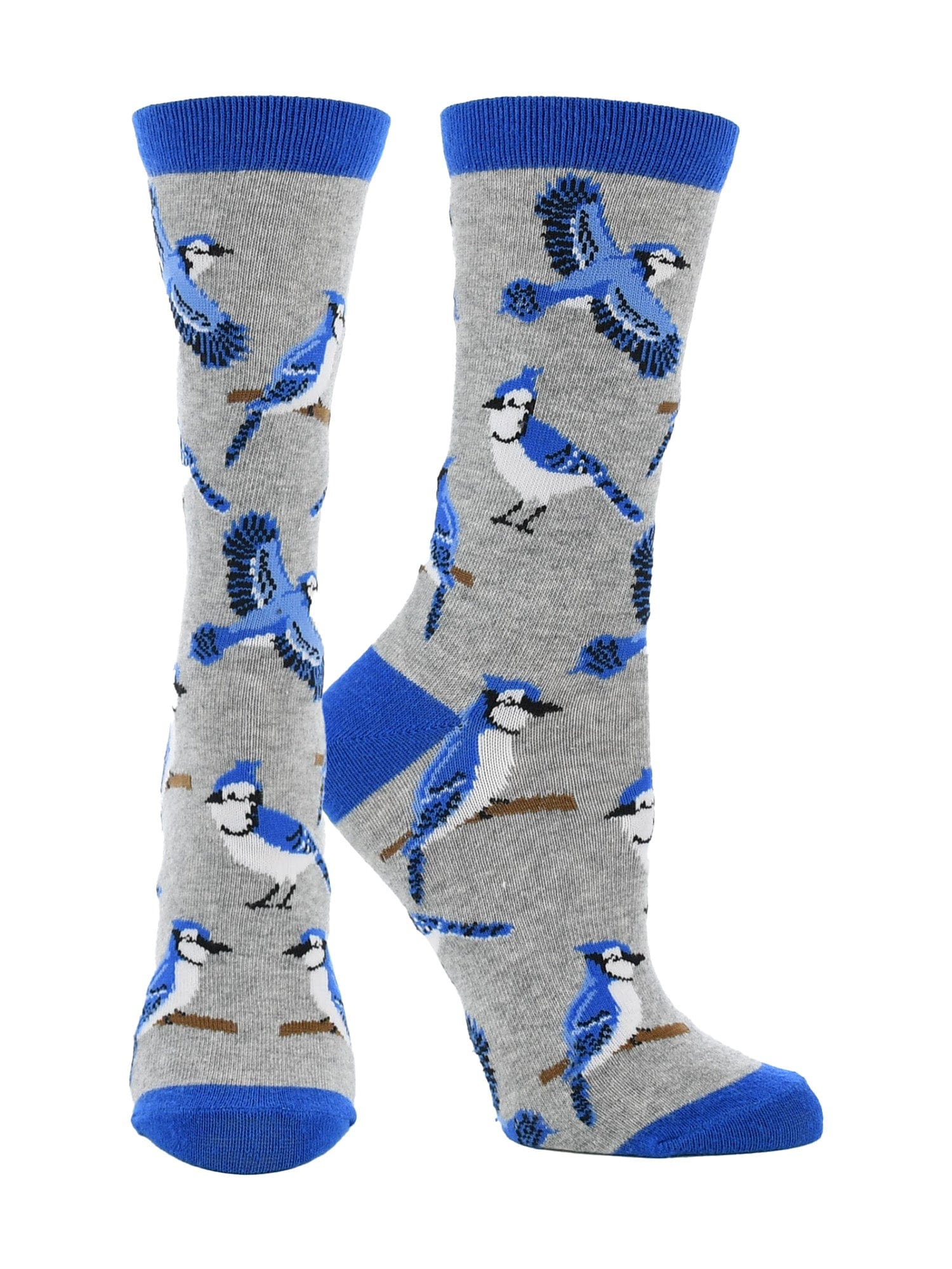 Wheel House Designs socks Grey / Medium Blue Jay Bird Socks Perfect Bird Lovers Gift