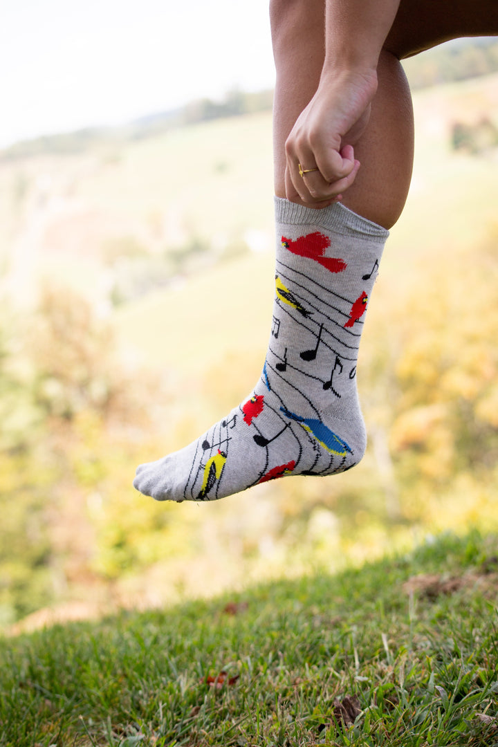 Wheel House Designs socks Light Gray / Medium Bird Song Socks Perfect Bird Lovers Gift
