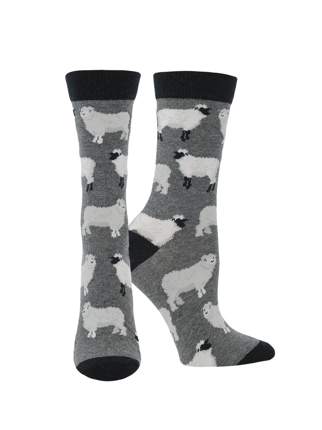 Wheel House Designs socks Teal/Charcoal / Medium WHD Sheep Socks | Socks with Sheep on them|1-Pack/2-Pack