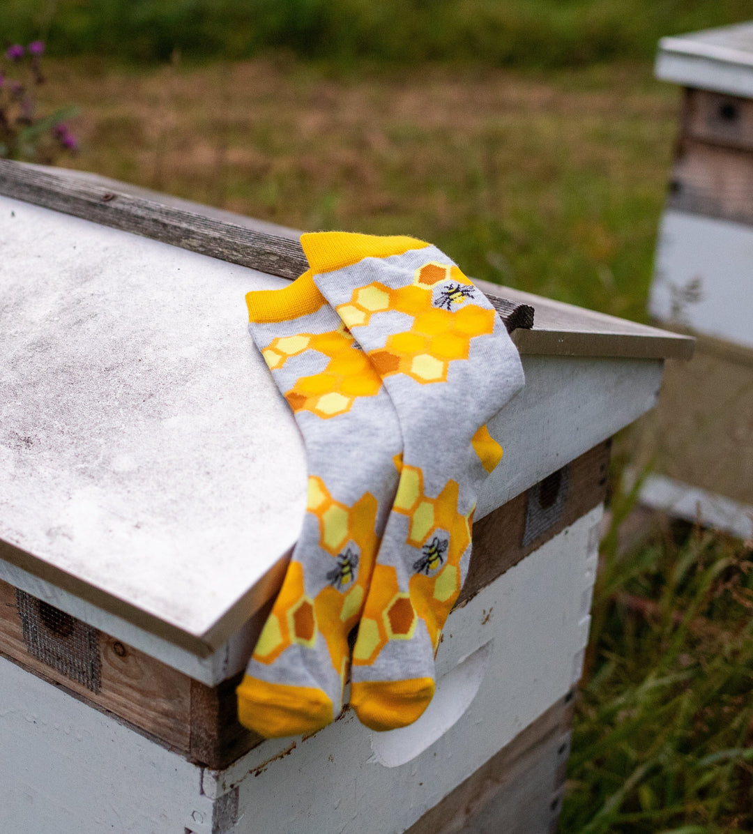 Wheel House Designs socks WHD Bee Socks | Gifts for Bee Lovers | 1-Pack/2-Pack
