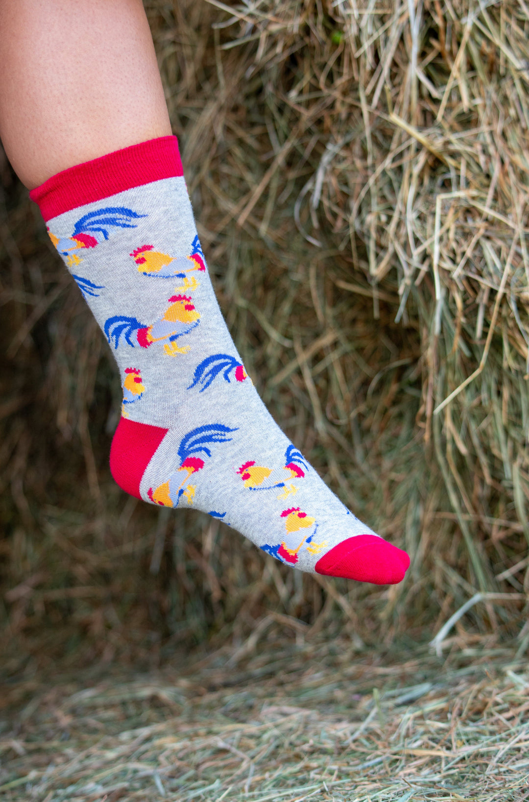 Wheel House Designs socks WHD Chicken Socks for Women | Gift for Chicken Lovers|1-Pack/2-Pack