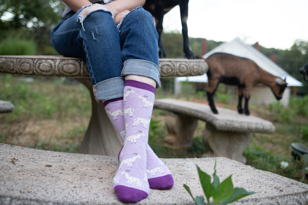 Wheel House Designs socks WHD Goat Socks | Gift for Goat Lovers | 1-Pack/2-Pack